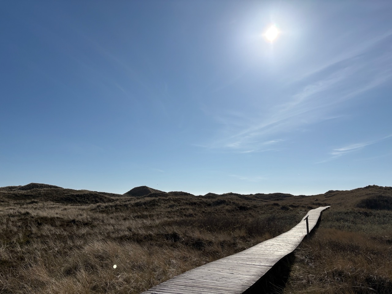 Amrum Foto: Groß (Favoriten   6 von 9)